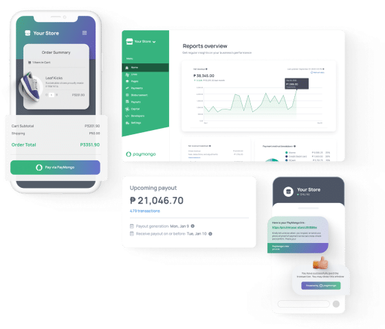 paymongo header image